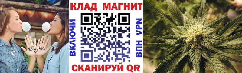 ГАШ Чаплыгин