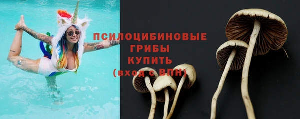 твердый Алзамай