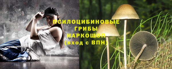 твердый Алзамай
