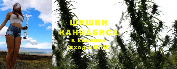 твердый Алзамай