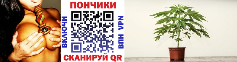 Шишки марихуана конопля Чаплыгин